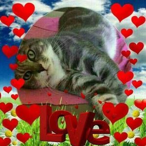 Meet your Posher, Debra